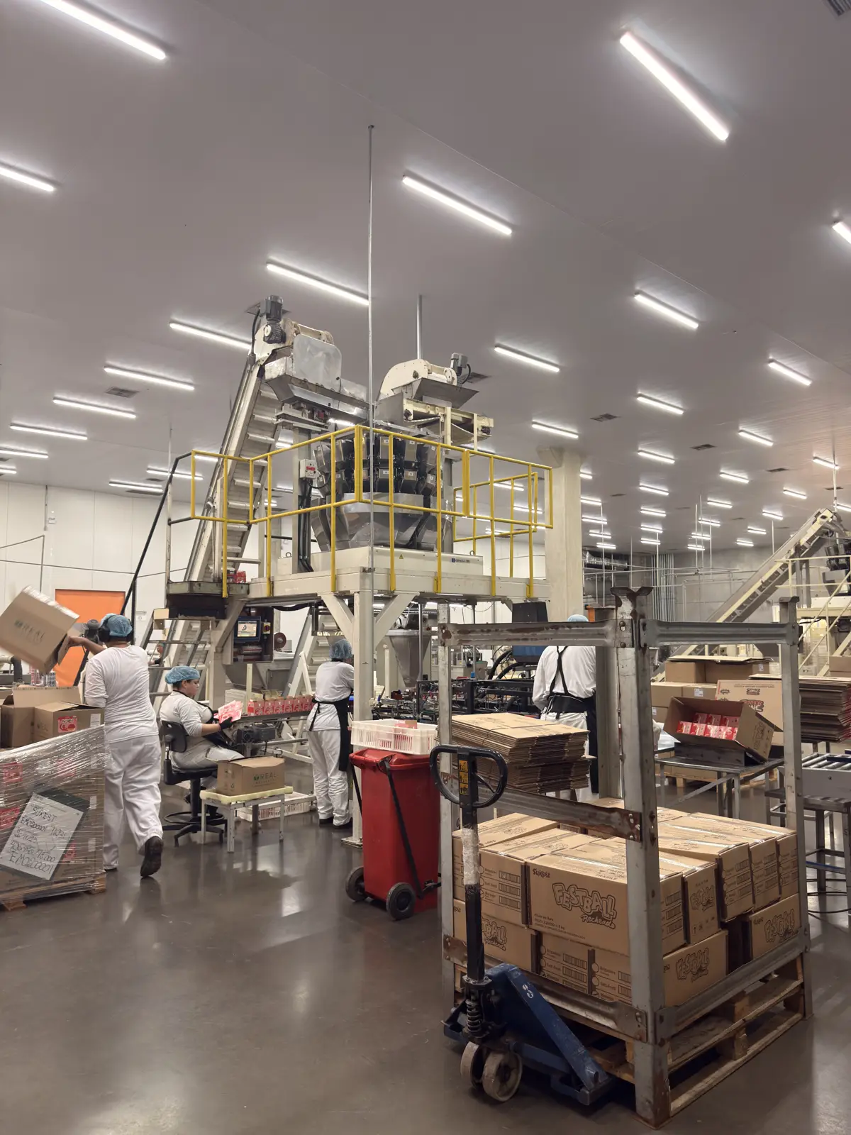 Linha de produção da Sukest em Agudos, com equipe e paletes de caixas
